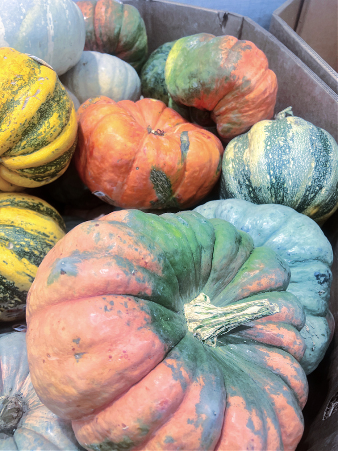 colorful pumpkins
