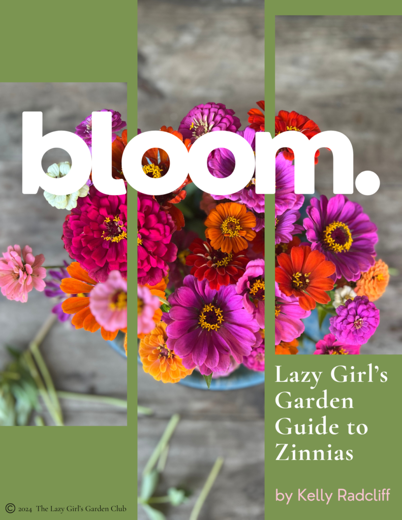 Lazy Girl's Garden Guide to Growing Zinnias