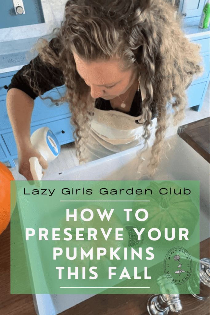 How to preserve pumpkins this fall 