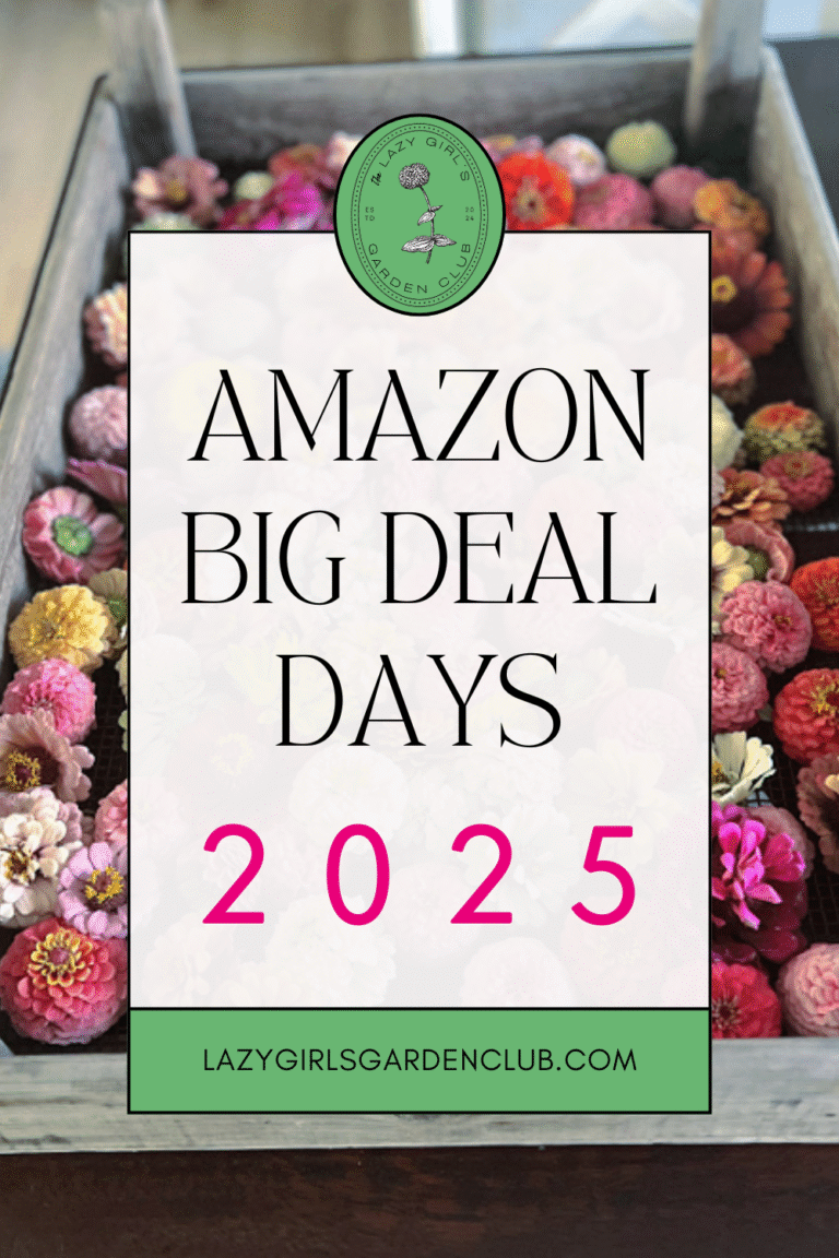 Amazon Big Deal Days