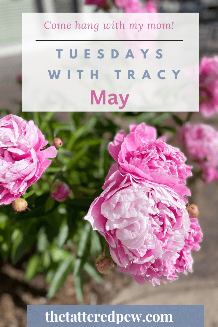 Tuesdays with Tracy