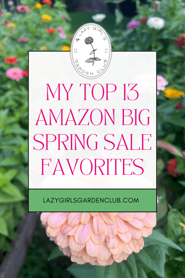 My Top 13 Amazon Big Spring Sale Favorites