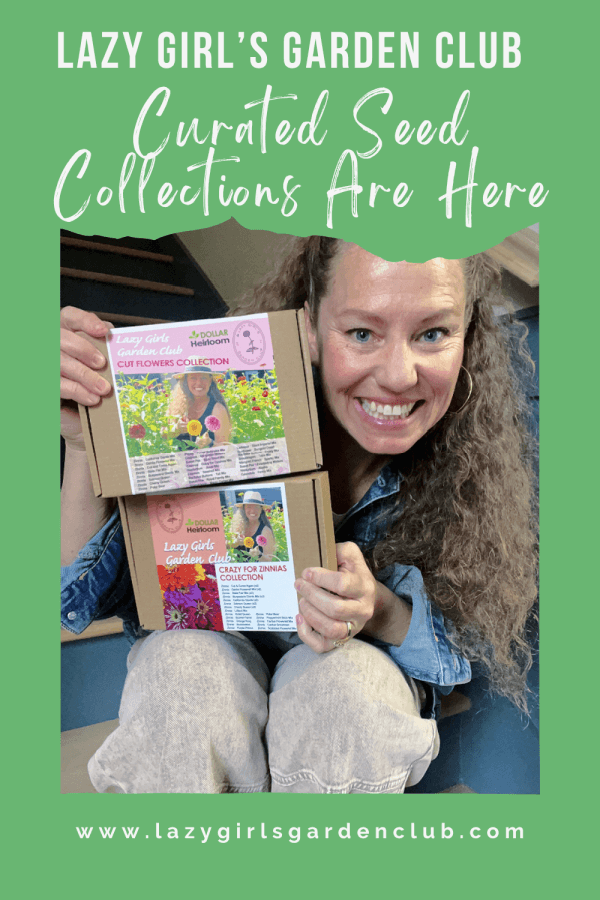 My Zinnia Seed Collections Are Here