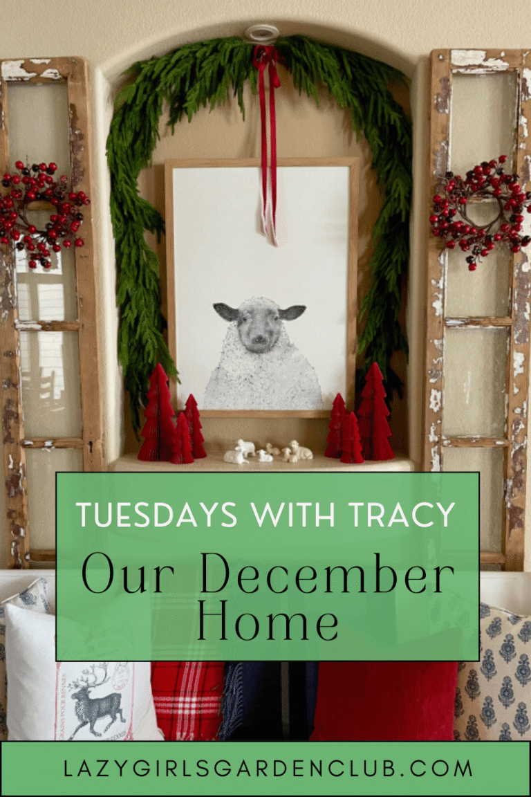 Tuesdays With Tracy December