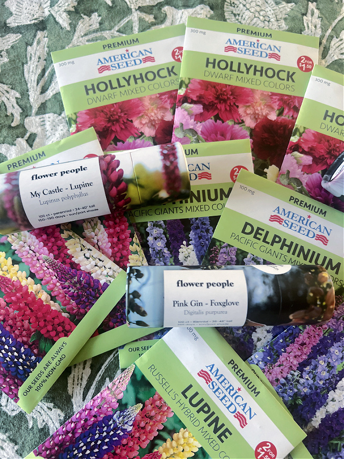 winter sowing perennials