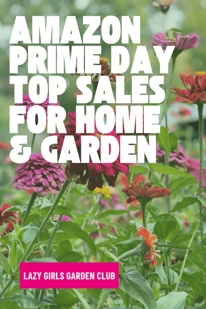 Amazon Prime Day Top Sales Home and Garden