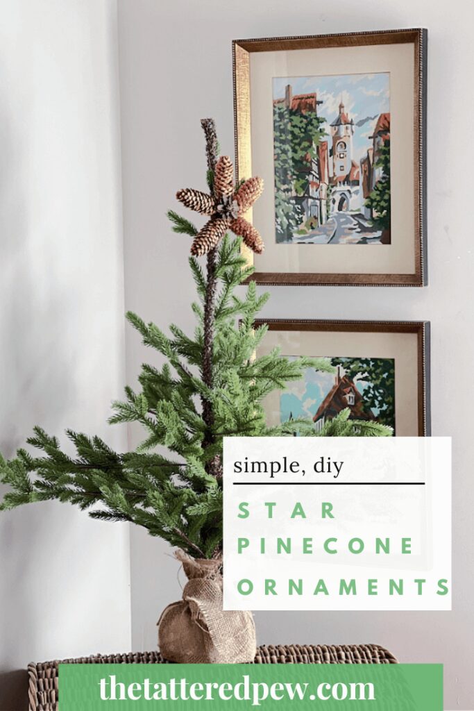 Simple DIY Star Shaped Pinecone Ornaments