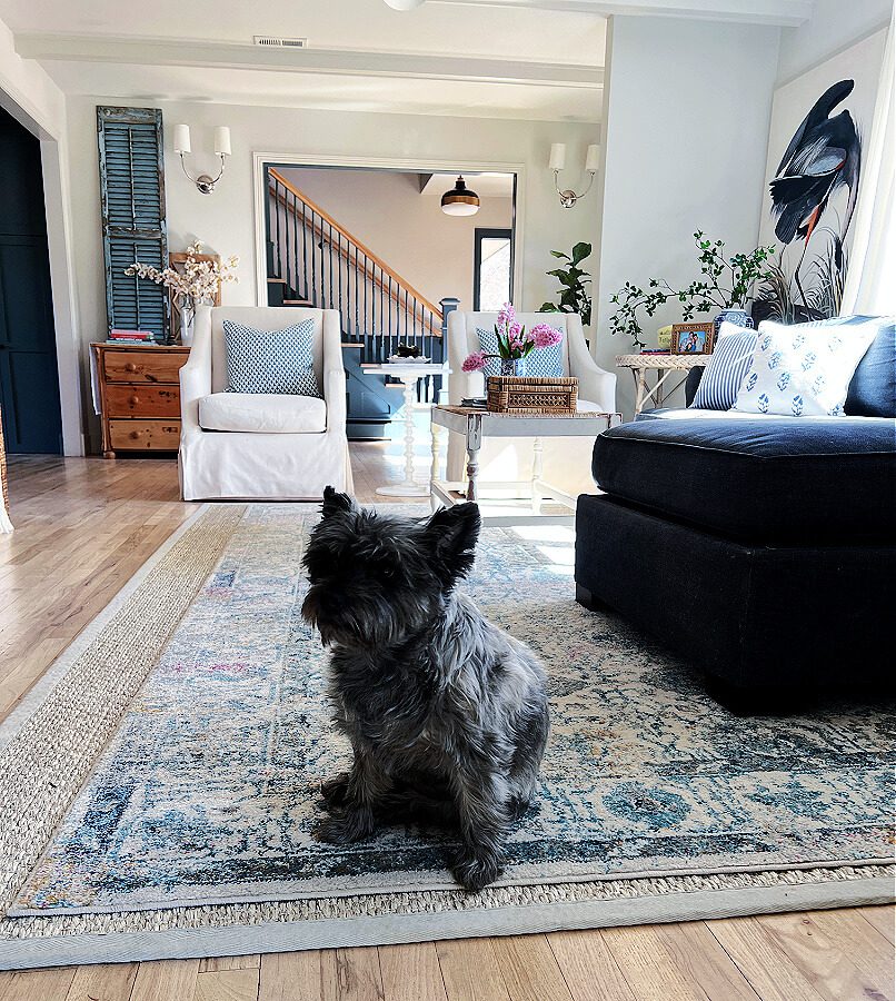 Our pup Zoey enjoying our family room rug. A look back at the stairs.