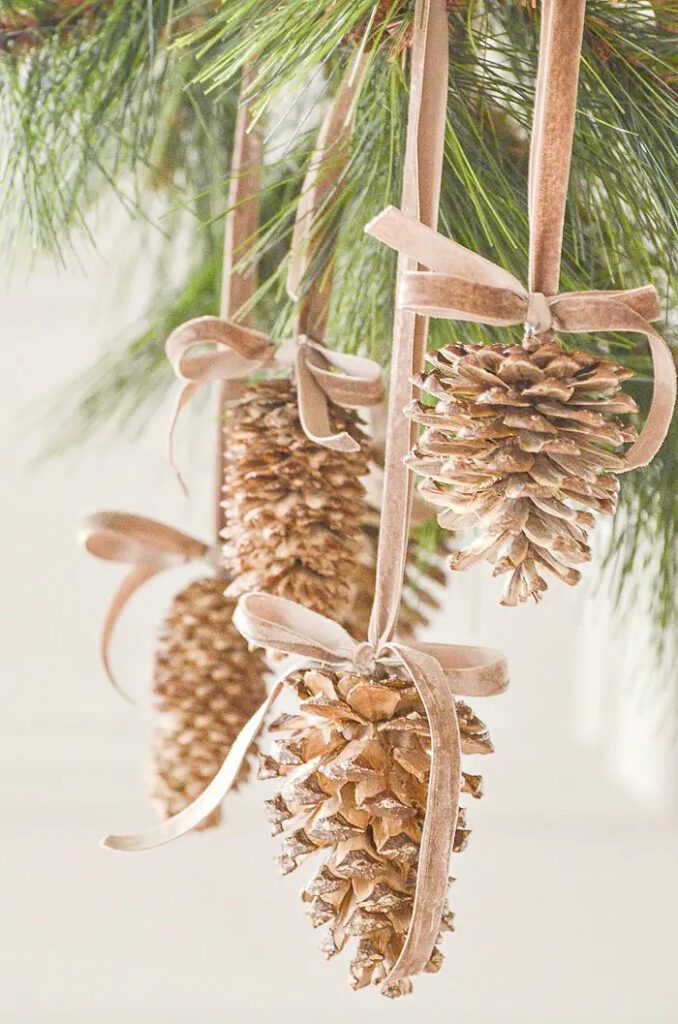 Bleached pine cones from Stone Gable