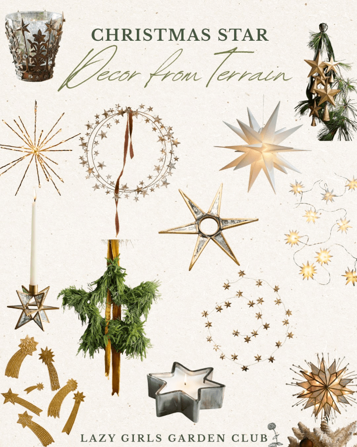 Star Decor from Terrain