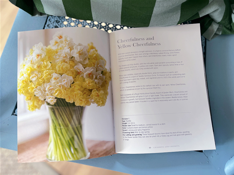 daffodil book page open