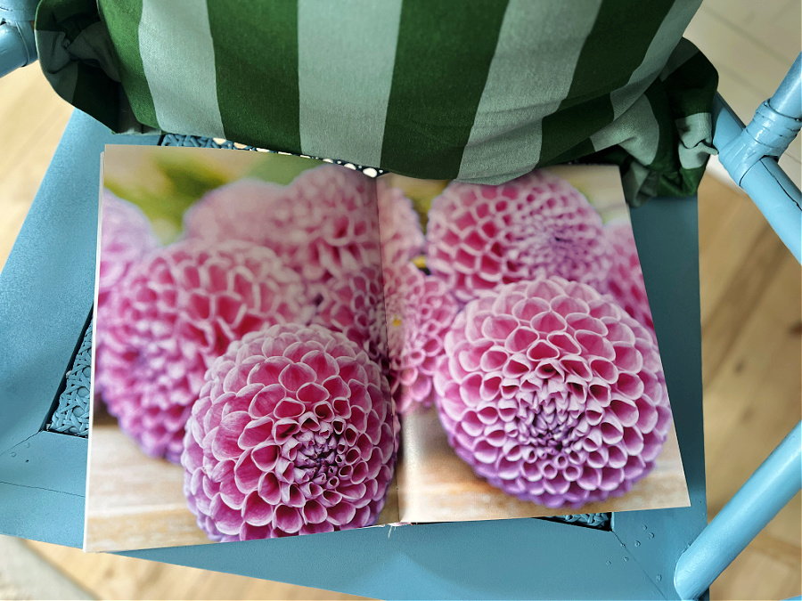 Dahlias inside the book and page open