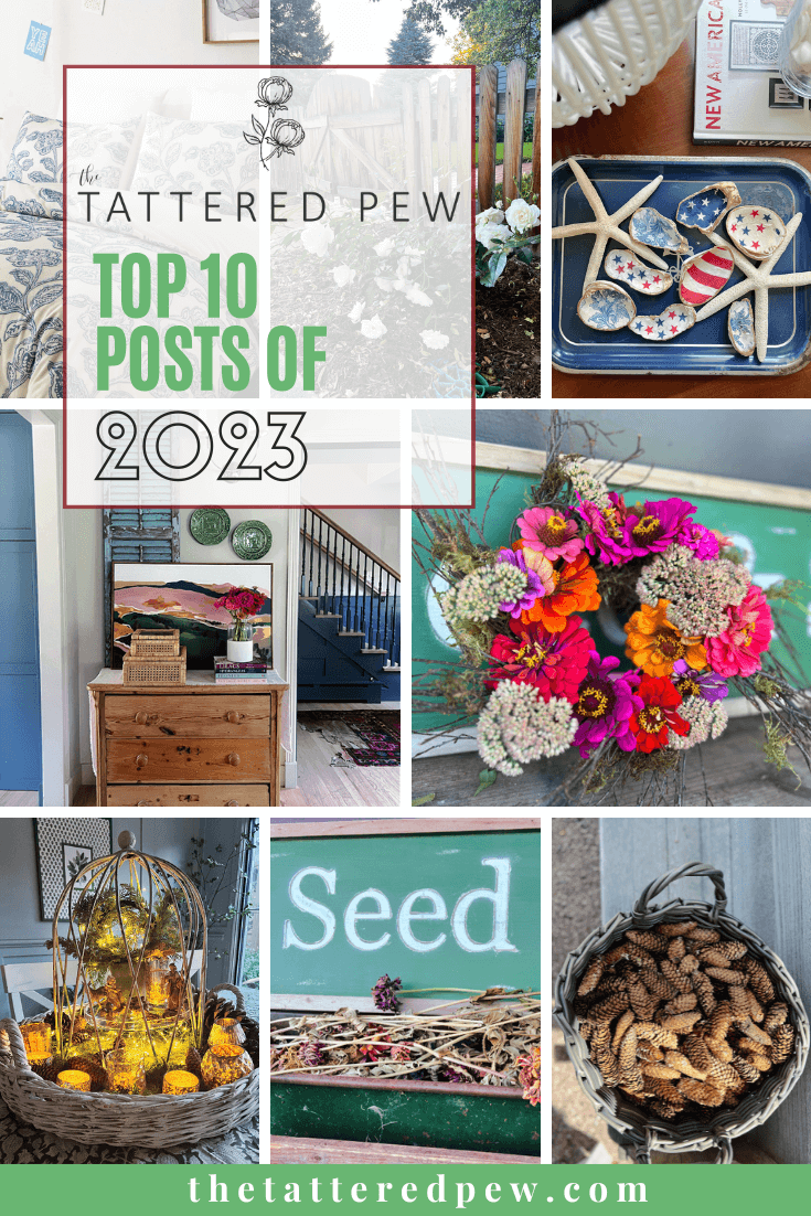 How to Mod Podge Sea Shells for Decor » The Tattered Pew