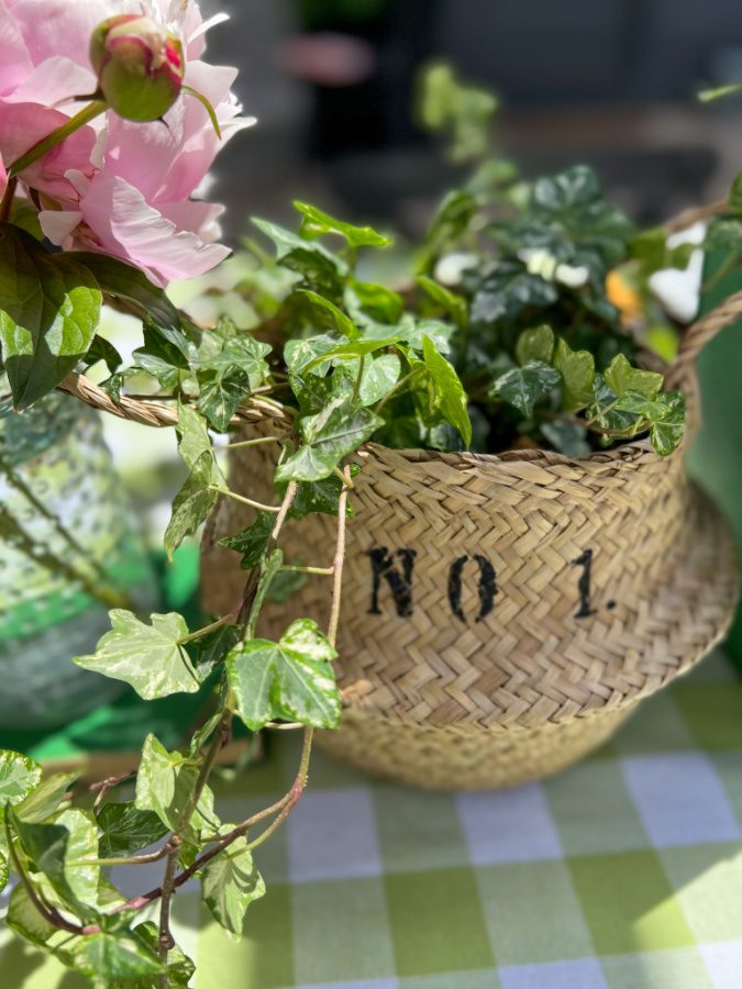 stenciled basket with ivy