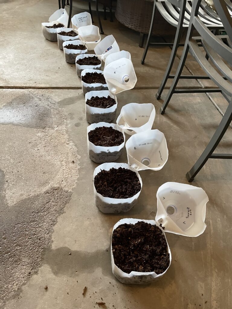 milk jugs on garage floor for winter sowing