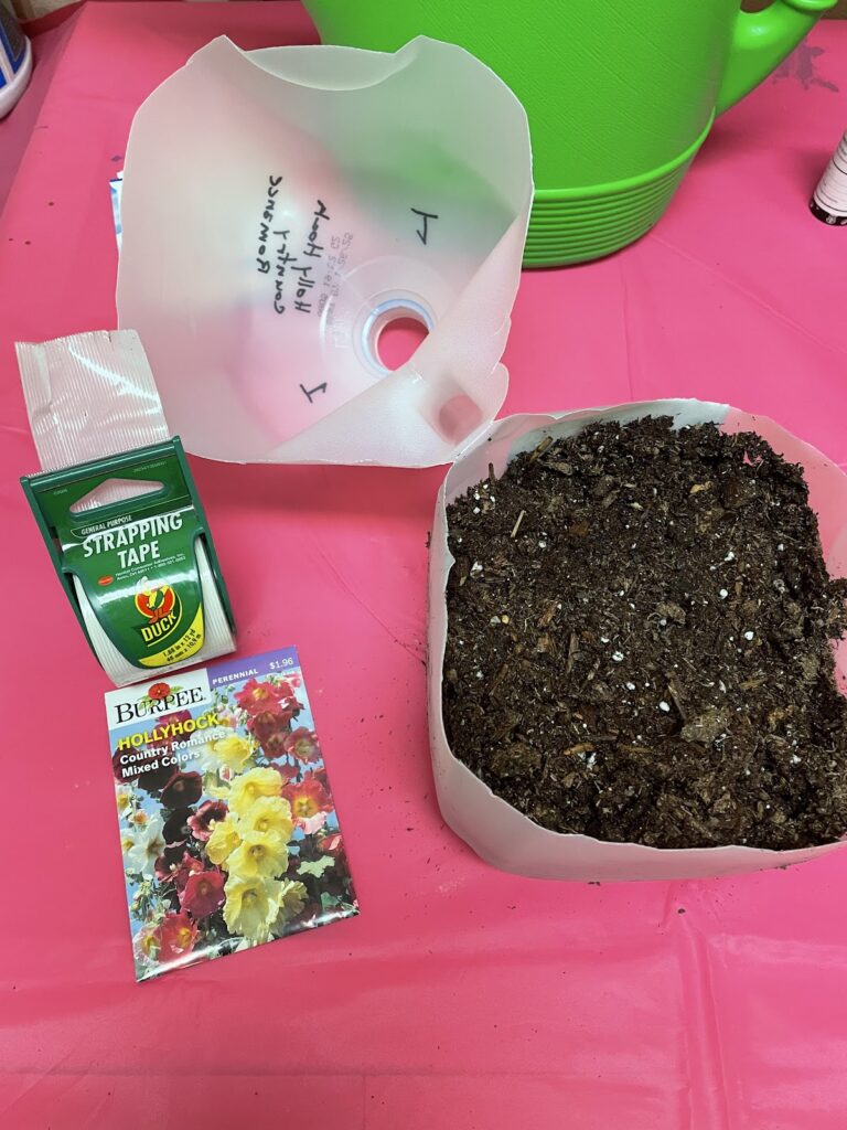 hollyhock seed packs