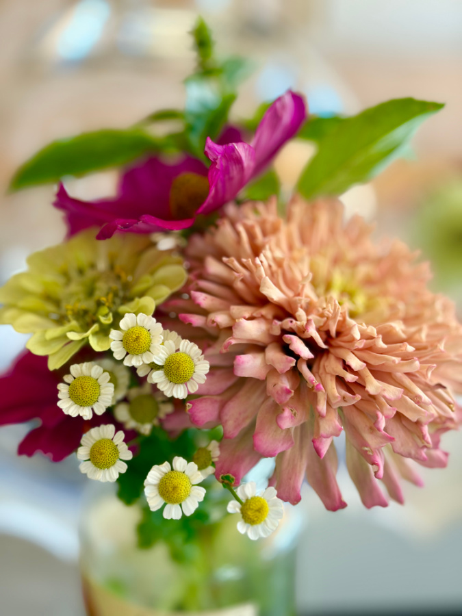 Tracy's flowers