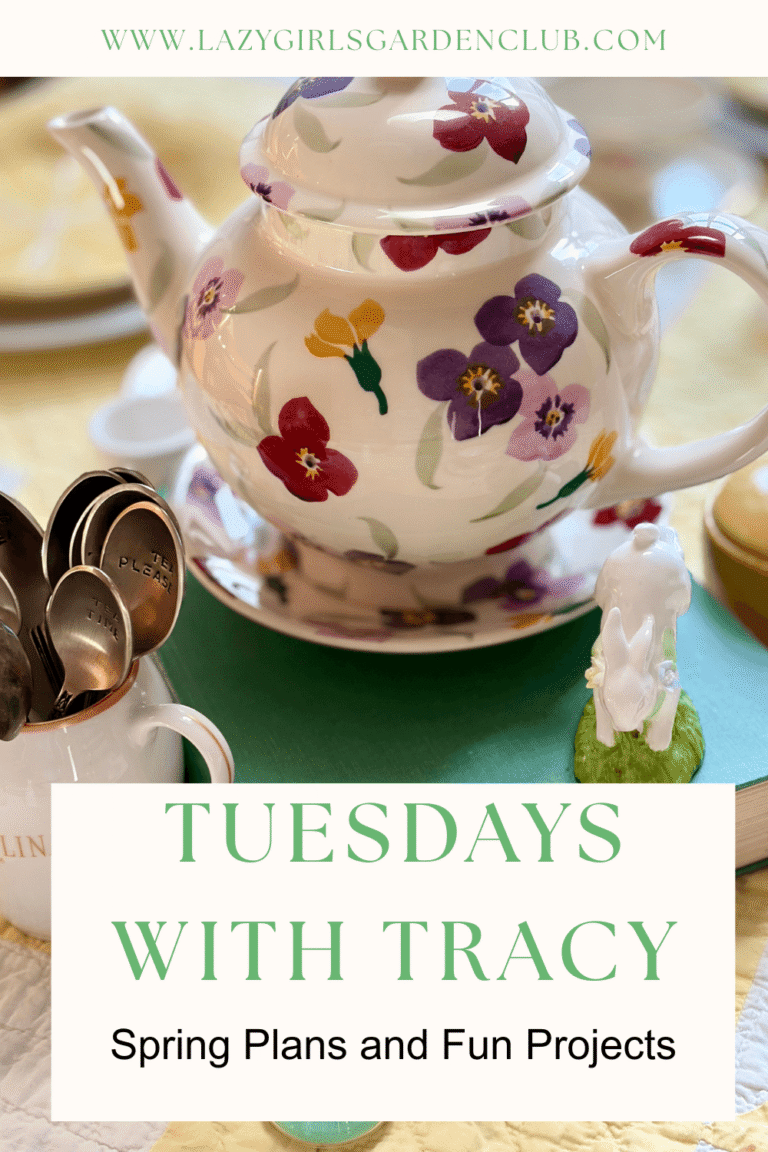 Tuesdays With Tracy Spring Plans and Fun Projects