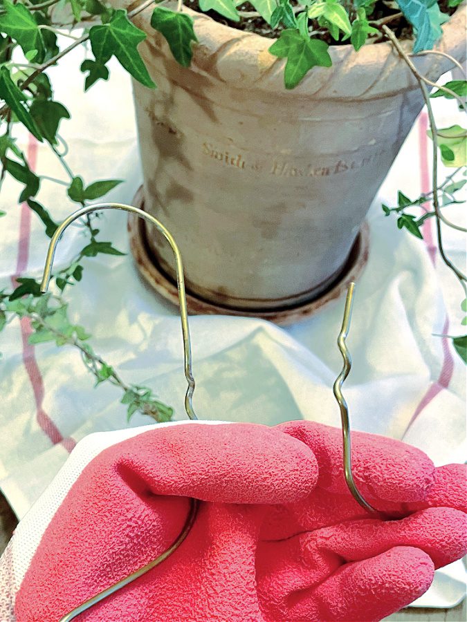 Topiary in shape of heart using hangers