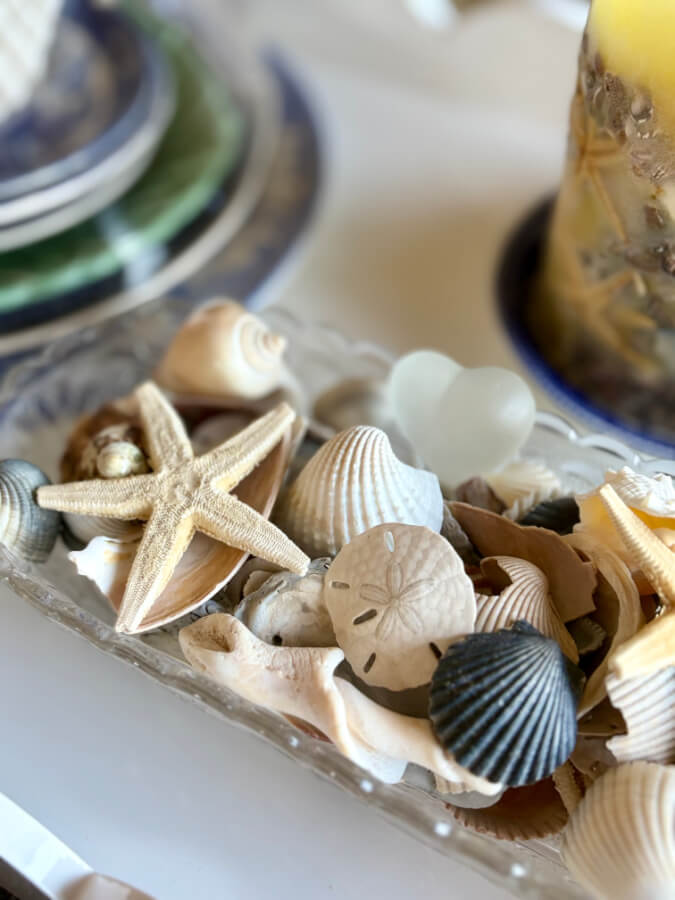 tray of seashells
