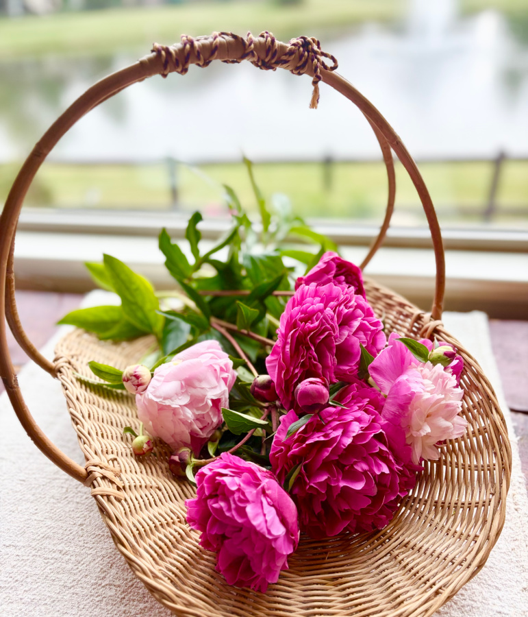 Tracy's Peonies
