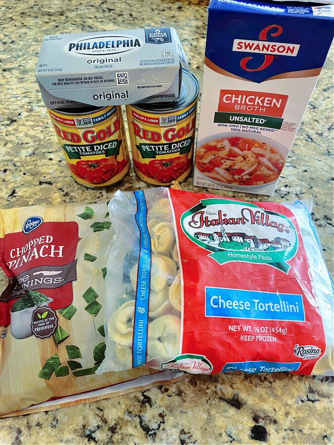 ingredients for soup