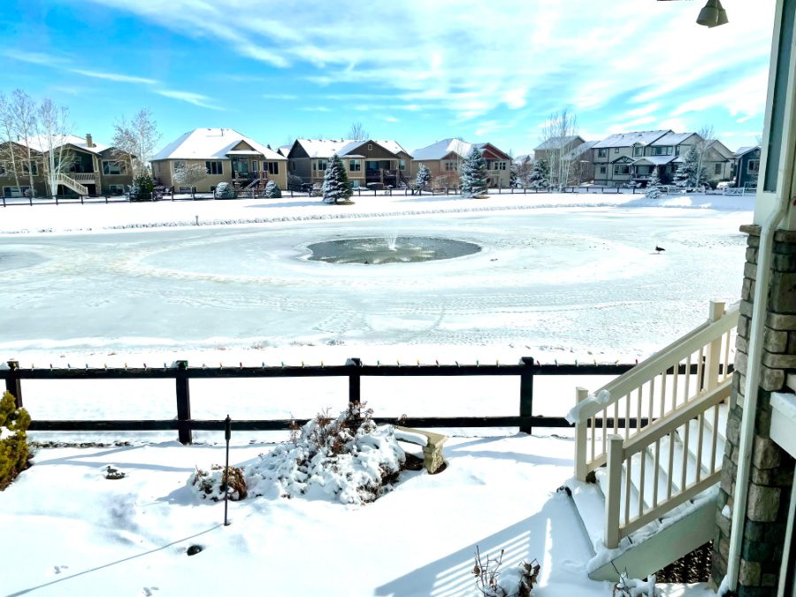 February Pond