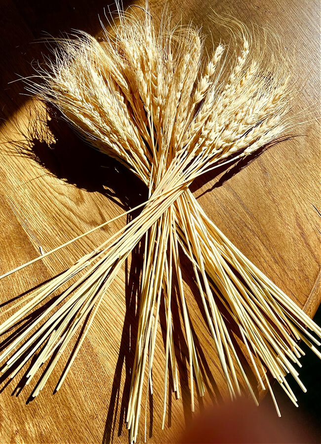 what in fan shape on table