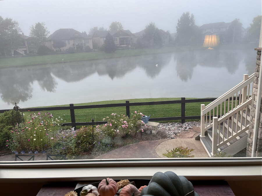 foggy morning on pond