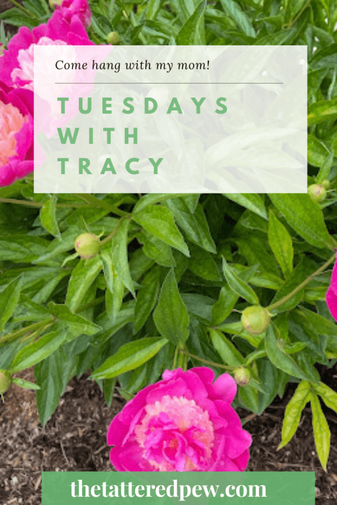 Tuesdays With Tracy Summer In our Home and Garden