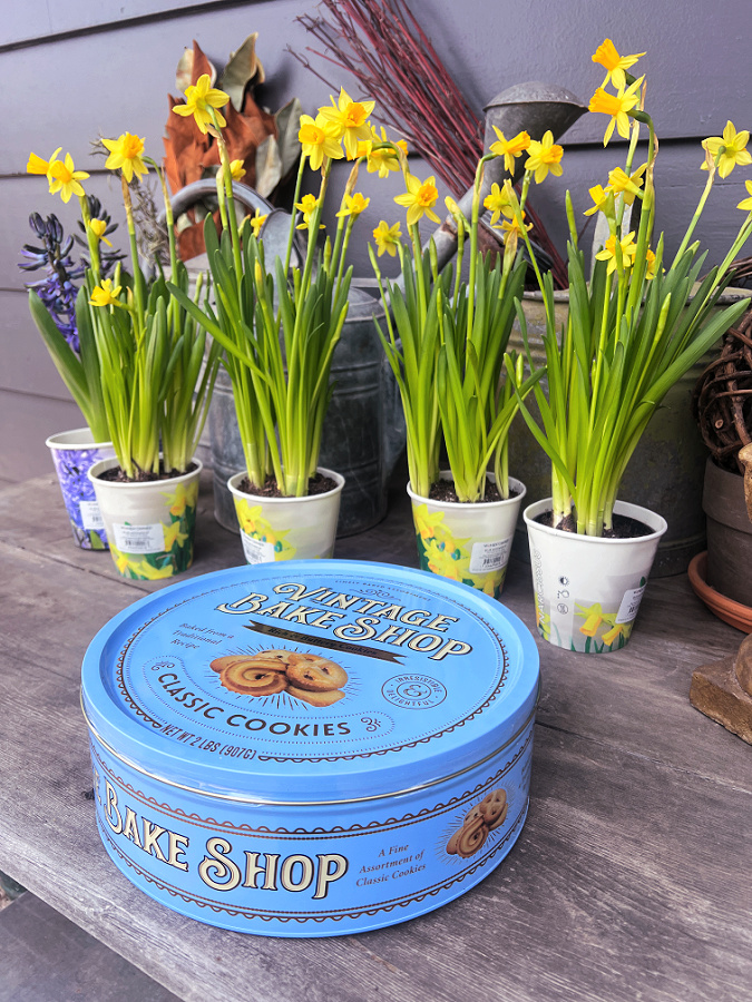 blue cookie tin in front of flowers