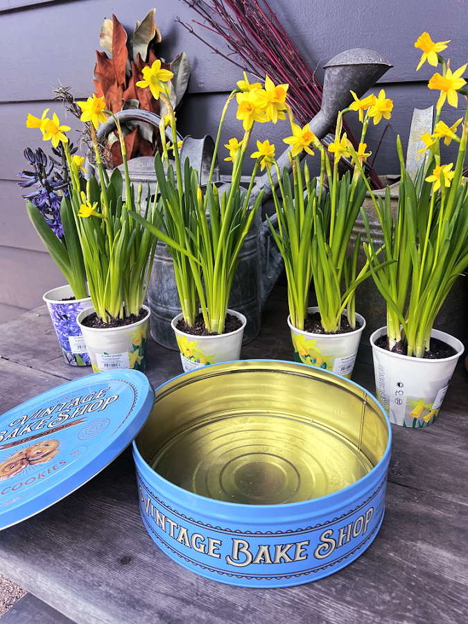 empty tin with flowers behind it