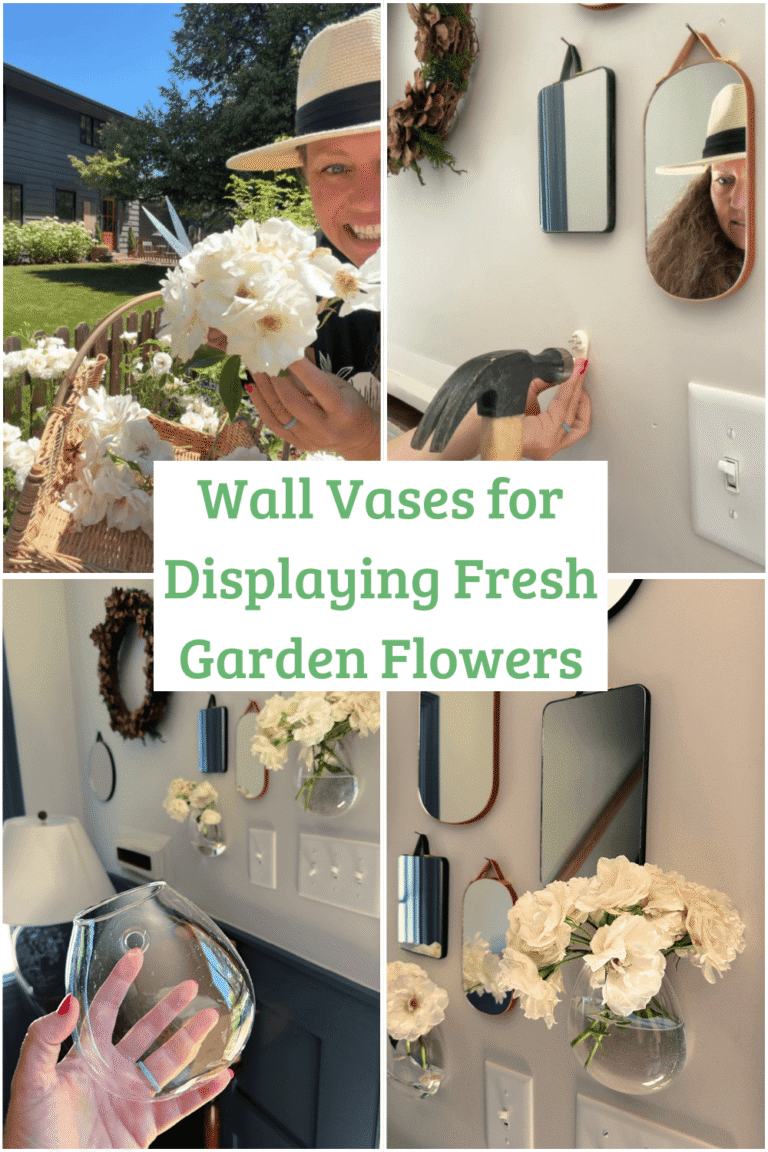 Wall Vases for Displaying Fresh Garden Flowers