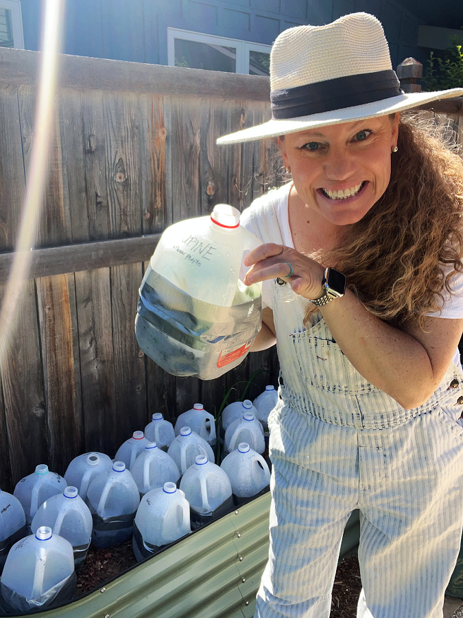 transplanting winter sown seedlings