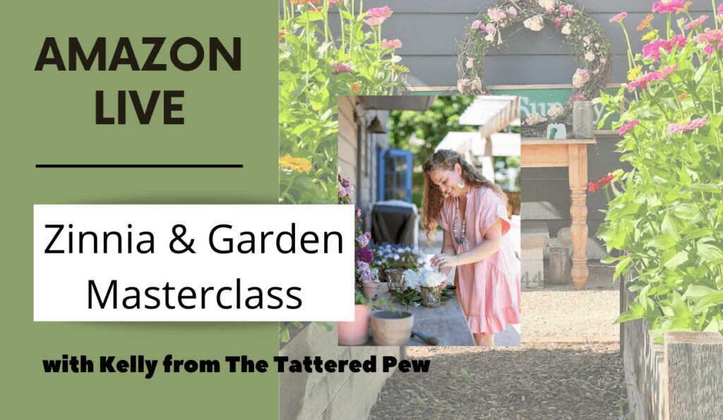 Amazon Live Let's Plant Zinnias