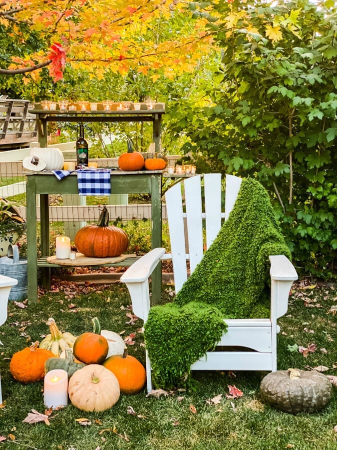 A Fall Evening In The Garden