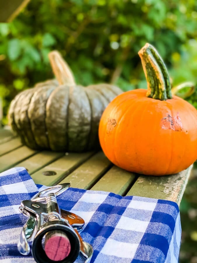 Pumpkins and wine, a Fall evening in the garden.