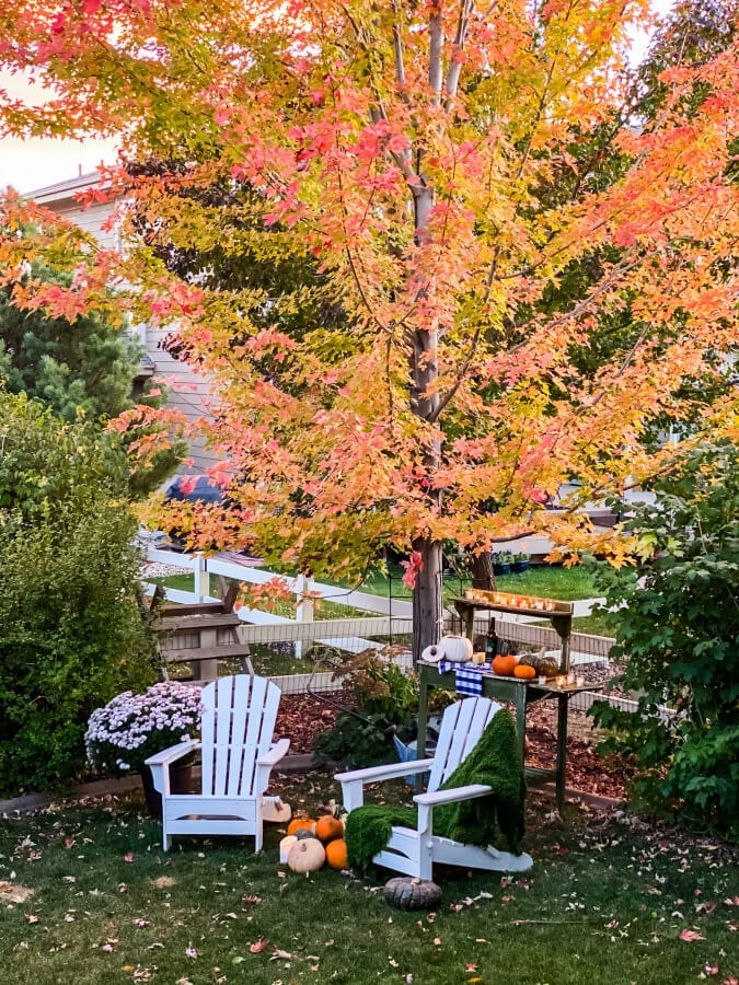 Candlelight, changing leaves and pumpkins...the perfect Fall evening!