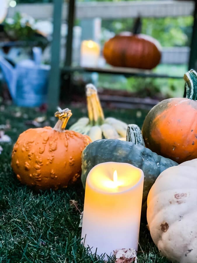 Pumpkins and candles, yes please!