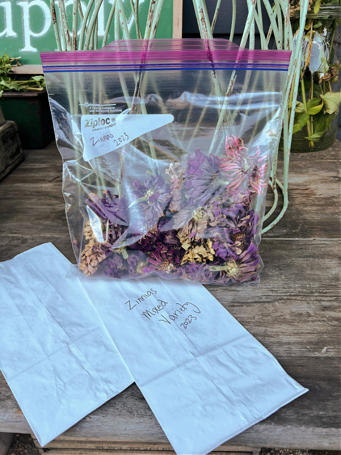 bags labeled with dried zinnias