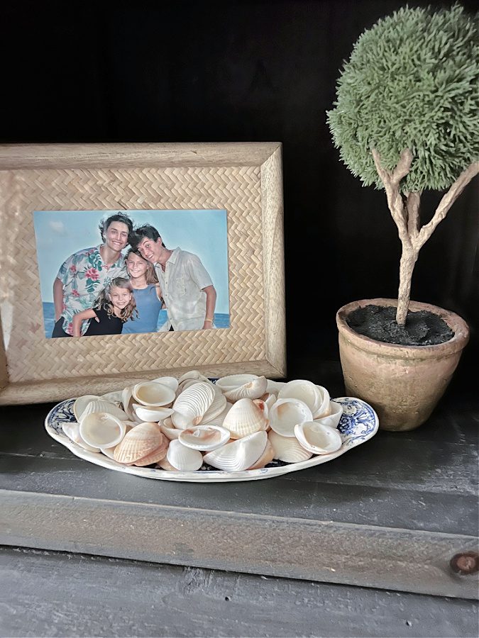 Family photo and shells for summer!