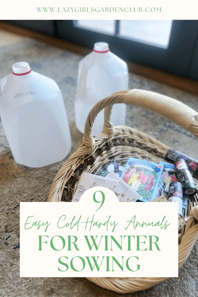 9 Easy cold hardy annuals to try for winter sowing