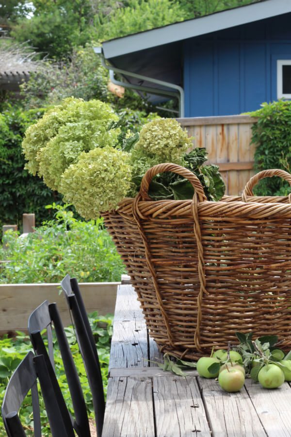 dried hydrangeas, apples and a vintage basket outdoors on a table.