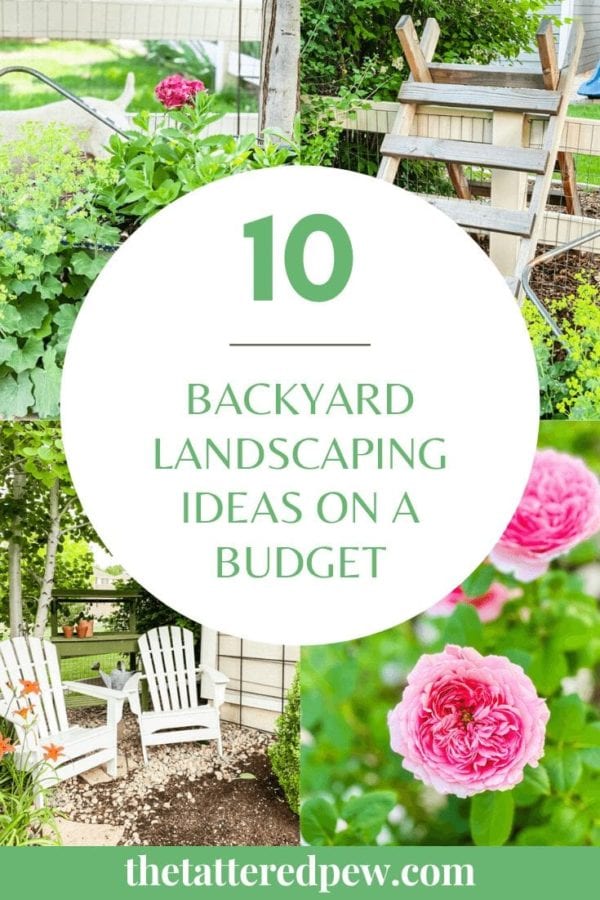 Creative Backyard Landscaping Ideas on a Budget » Grow Beauty With Ease