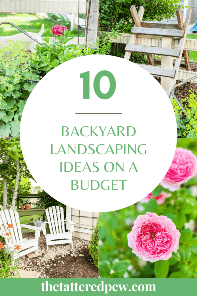 Don't miss these 10 backyard landscaping ideas on a budget!