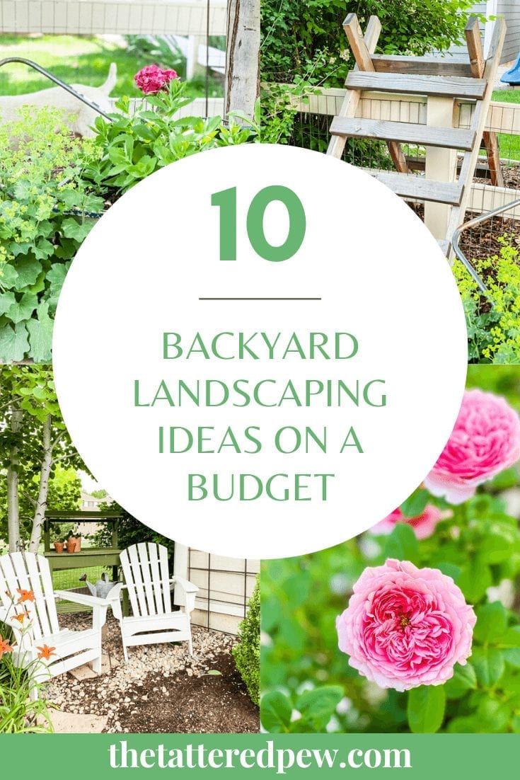 Creative Backyard Landscaping Ideas on a Budget » Grow Beauty With Ease
