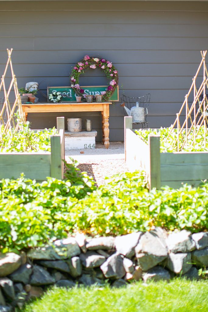 Raised garden beds in our backyard