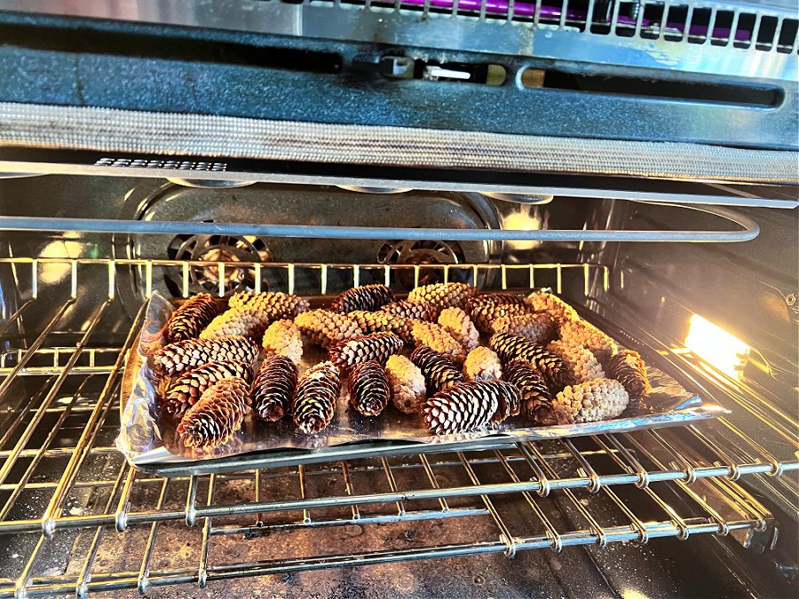 Bake your pine cones at 200 degrees F for 25-30 minutes.