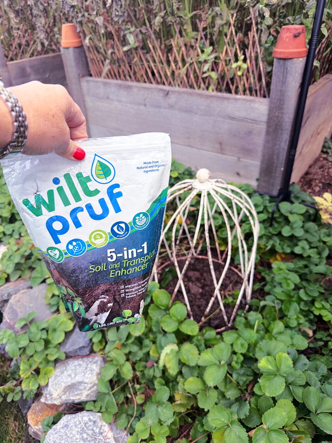 wilt pruf for planting bare root peony