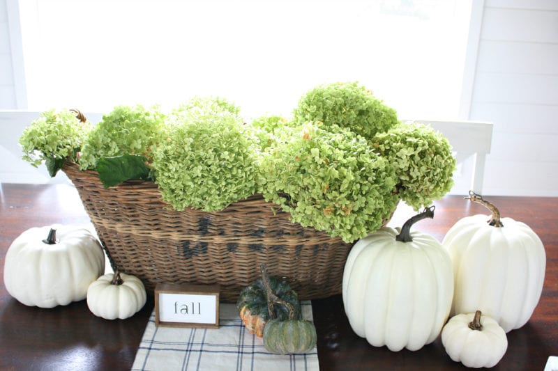 Fall decor and dried hydrangeas.